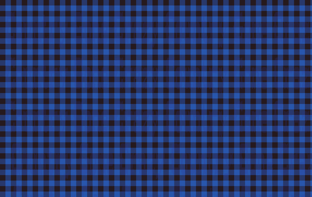 PL003 - Blue & Black Plaid-Country Gone Crazy-Country Gone Crazy